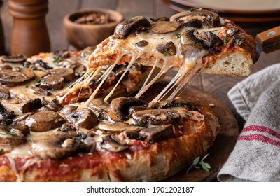 Closeup of a slice of mushroom and cheese pizza on a serving spatula - Powered by Shutterstock