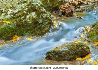 Closeup Small Brook Rushing Through The Mountain Canyon, Autumn Mountain River Scene