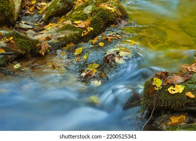 Closeup Small Brook Rushing Through The Mountain Canyon, Autumn Mountain River Scene