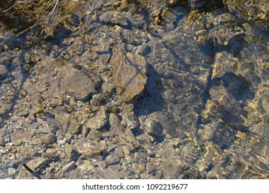 closeup small mountain brook