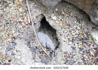 Close-up of a small puddle