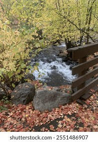 Close-up of a small stream flowing under a walking bridge, surrounded by vibrant autumn leaves. Perfect for fall nature photography, tranquil outdoor scenes, and seasonal landscape content.
