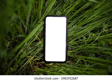 Close-up Of Smartphone With Mockup In Green Grass. Top View. Natural Background.