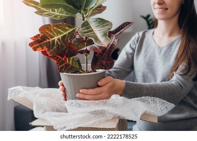 Close-up Smiling Young Caucasian Woman Sitting On Comfy Sofa Unpacking Boxes With Beautiful Green Plants In Her New Home Or In Student Dorm Room. Moving To A New House, Rent Concept. Selective Focus