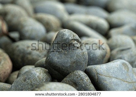 Close-up of a smooth dark river stone standing among rounded pebbles, captured with shallow depth of field and natural outdoor lighting. Minimal composition highlights texture, shape, balance, and geological detail.