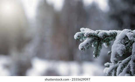 Close-up of a snow-covered evergreen branch in a tranquil winter forest. The soft sunlight and blurred background create a peaceful and serene atmosphere. - Powered by Shutterstock