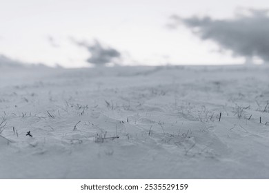 Close-up of snow-covered ground with grass in winter twilight - Powered by Shutterstock