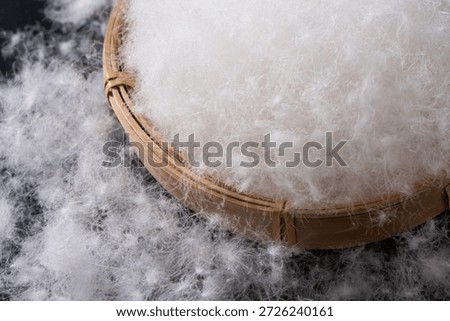 closeup of soft fluffy white down feather on black background.