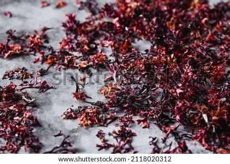 closeup of some dried irish moss leaves on gray stone surface