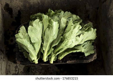 Close-up of some vegetables
