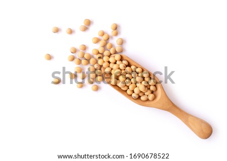 Closeup soy beans in wooden spoon isolated on white background. Overhead view. Flat lay.
