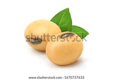 Close-up Soybeans seeds with green leaves  isolated on white background.