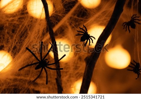 Close-up of spiders. Brightly colored lanterns in the form of pumpkins. Halloween holiday. Darkness. Spider web and spiders. For backgrounds