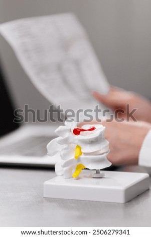 A close-up of spinal models placed on a desk alongside a laptop. Ideal for visualizing the diagnosis, treatment, and therapy of spine-related issues and back pain in a modern medical workspace.