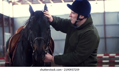 Close-up, In A Stable, A Man Strokes A Muzzle Of A Thoroughbred, Black Horse.