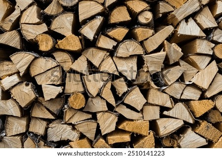 
Close-up of a stack of wood with different types of wood. The wood is drying and will be used for heating during the winter.