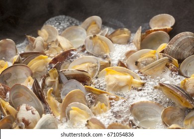 Close-up Of Steamed Clams