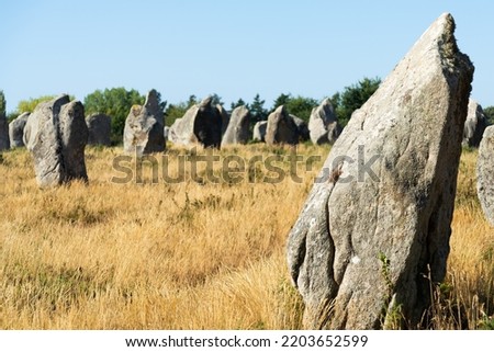 Closeup of a stone menhir megalith in the archeological site of Carnac, Brittany, France. Coutriside with menhirs in the blurred background. Selective focus.