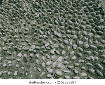 A close-up of a stone path made up of small, round pebbles embedded in concrete. The stones are various shades of gray and create a textured, natural pattern.