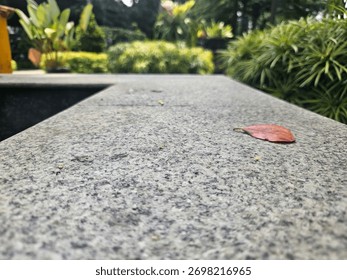 Close-up of a stone surface with a leaf, with greenery in the background.