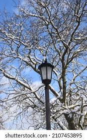 Closeup Street Lamp Post With Snow