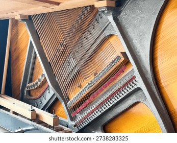 A close-up of stretched strings inside a piano, showing the complex inner workings of the instrument.