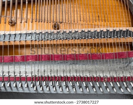 A close-up of stretched strings inside a piano, showing the complex inner workings of the instrument.