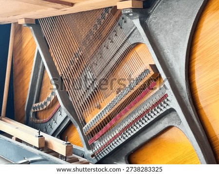 A close-up of stretched strings inside a piano, showing the complex inner workings of the instrument.