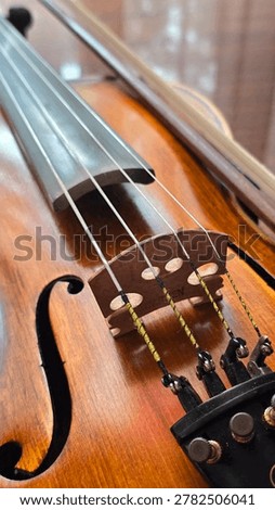 Close-up of strings, bridge, and body of a classical wooden violin with a bow