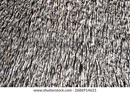 Close-up of structure an old straw thatched roof under bright sunlight. Weathered thatched roof texture