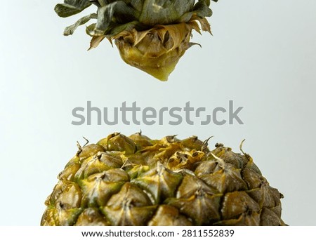 Close-up studio shot of a fresh pineapple crown being lifted from the fruit body against clean background. Perfect for tropical food, wellness and natural product photography