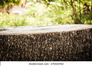 closeup stump in the forest