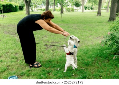 close-up in the summer in the park on green lawn a Maltese lapdog and a West Highland dance around the owner on their hind legs - Powered by Shutterstock