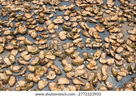 Close-Up of Sun Drying Monkey Jack Fruit Pieces, Monkeyjack, Artocarpus, Lacucha, Fruit, Sun-dry