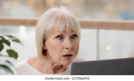 Close-up Surprised Excited Mature Woman Looking At Laptop Screen Middle-aged Caucasian Businesswoman User Reading Bad News On Internet Getting Rejected By E-mail Finds Error Feeling Upset Frustrated