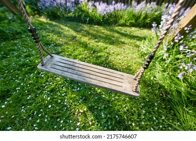 Closeup Of A Swing On A Rope In A Peaceful Backyard Garden In Summer. Green Lush Grass Foliage Growing In A Garden With Lavender Flowers Blossoming And Blooming. Old Rustic Wooden Swing In A Meadow