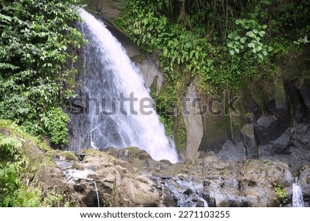 Close-up of Taman Sari waterfall in Bali surrounded by the plants and rocks. Zdjęcia stock © 
