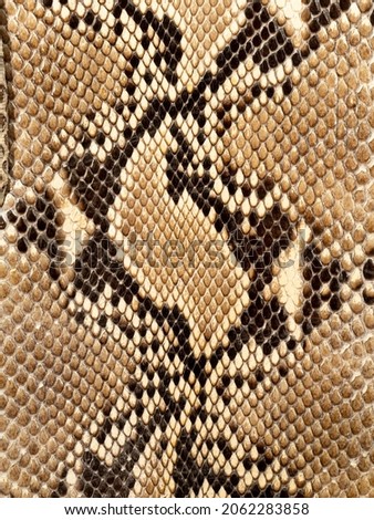 Close-up of the tanned skin of a reticulated python (Malayopython reticulatus). The scales, colors and markings are distinctive to this species 