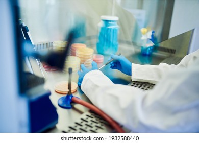 Nahaufnahme eines Technikers, der Proben in einem Biosicherheitsschrank während der Arbeit in einem Labor untersucht