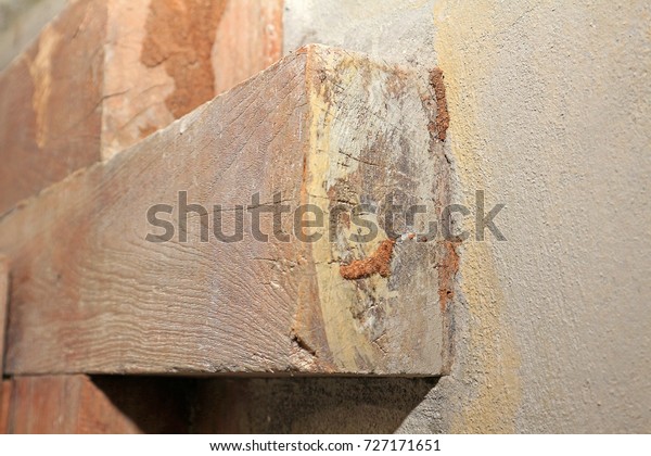Close-up termites route or mud tunnel (Tube of\
Subterranean Termites) on between wood door framing and cement\
wall, Selective focus.