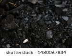 Close-up and texture of black charcoal in a forest