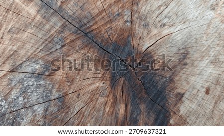 Close-up texture of a cut tree trunk showing natural lines and organic wood patterns. The detailed wood grain creates a rustic, natural, and aesthetic appearance. This image is ideal as a background 