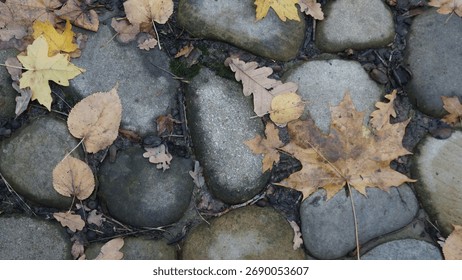 Close-up texture of a damp path made of rounded, grey cobblestones, lightly scattered with yellow and brown fallen leaves, suggesting a river bank or garden walkway on a crisp, misty autumn day.