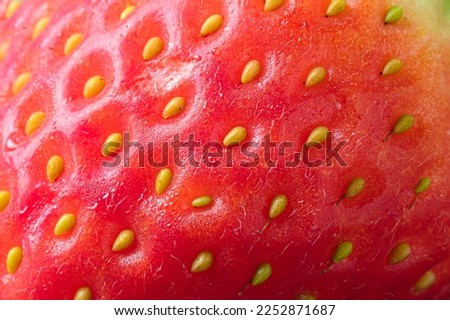 Close-up texture detail of a strawberry, See the seeds attached to the outer surface, red, beautiful.