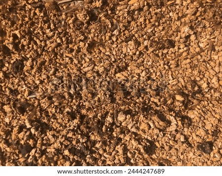 Close-up texture of dry, cracked earth, highlighting details of the parched soil with deep fissures.

