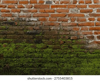 Textura primer plano la