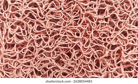 
Close-up texture of red coil (spaghetti) carpet. Synthetic floor mat with tangled loops, commonly used as doormats. Ideal for backgrounds or abstract design elements - Powered by Shutterstock - Get 15% off with code: PIKWIZARD15