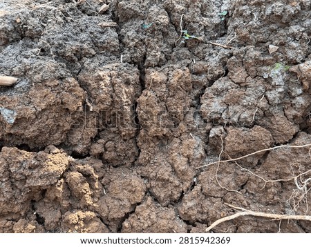 Close-up texture of rough brown soil and clods of earth with small plant roots exposed.