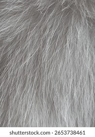 A close-up texture of soft, luxurious gray animal fur, showcasing its fine strands and natural variations in tone