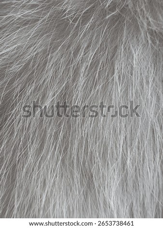 A close-up texture of soft, luxurious gray animal fur, showcasing its fine strands and natural variations in tone